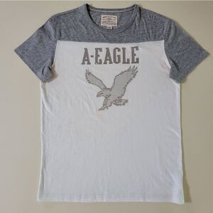 American Eagle Outfitters Men's Gray Appliquéd Crewneck Short Sleeve Tee